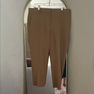Ann Taylor Tan Women's Pants